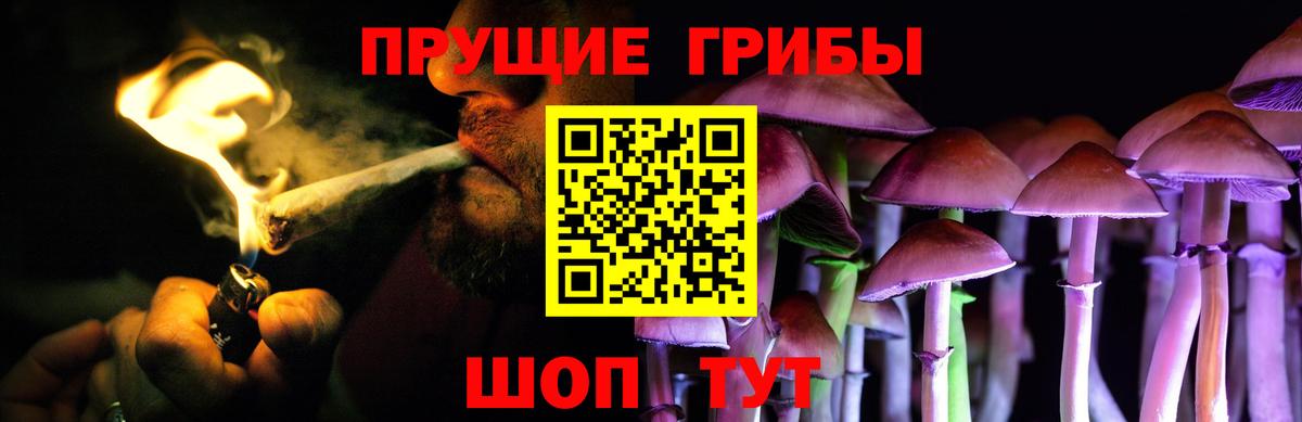 Псилоцибиновые грибы Cubensis  Вход с VPN  Галлюциногенные грибы ЛСД  Сухой Лог 